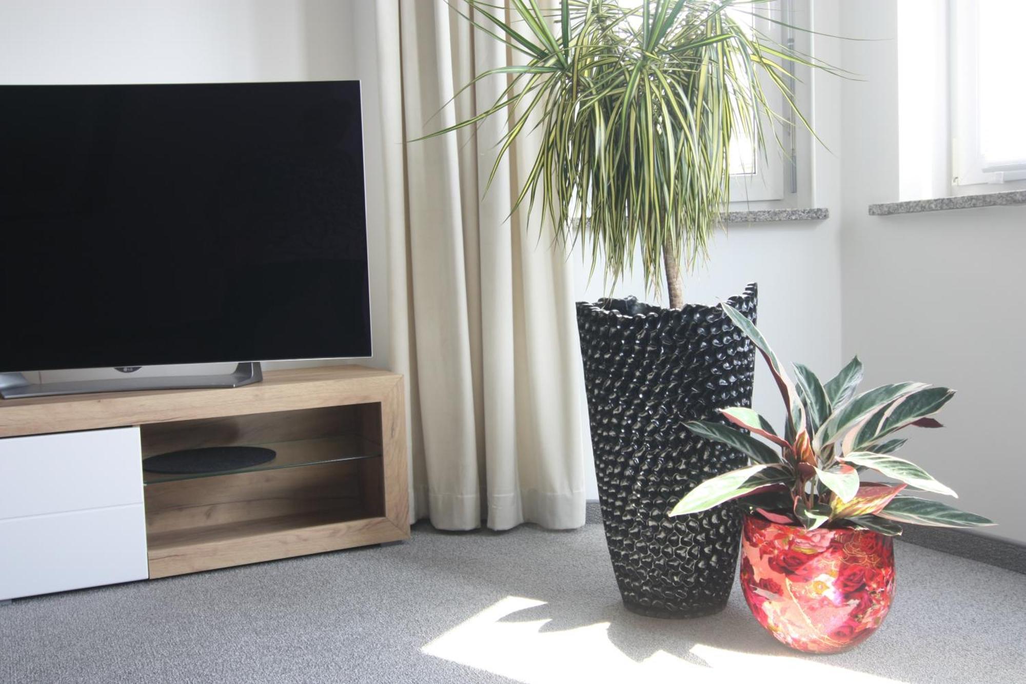Wohnung In Stadtvilla, Dessau-Ziebigk מראה חיצוני תמונה